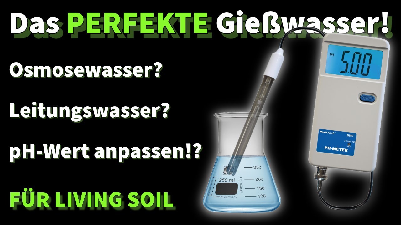 Das ideale Gießwasser für Living Soil - Der ULTIMATIVE Ratgeber - Mythen, Missverständnisse & mehr!