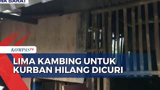 Disiapkan untuk Hari Raya Kurban, 5 Kambing Milik Warga Bekasi Hilang Dicuri!