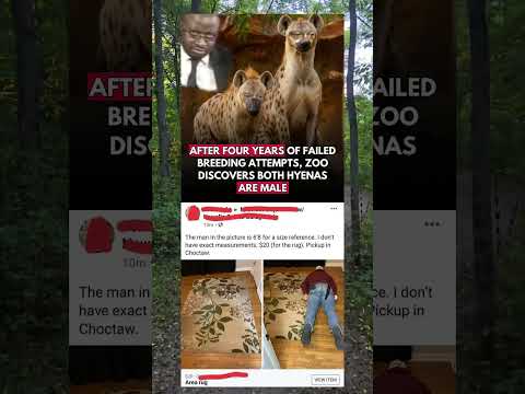 Thats One Way To Measure The Rug Without A Tape Funny Relatable Viralshorts