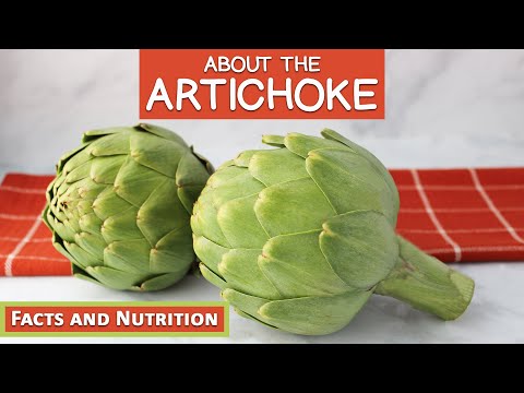 Video: Sifat Dan Kegunaan Artichoke