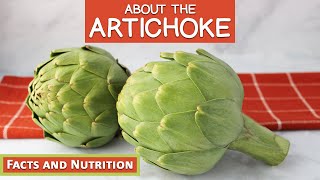 About The Artichoke, Interesting Facts, Preparation And Nutrition