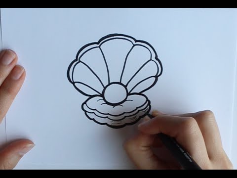 Cómo dibujar una Concha con Perla Dibuja Conmigo Dibujos de Mar - thptnganamst.edu.vn