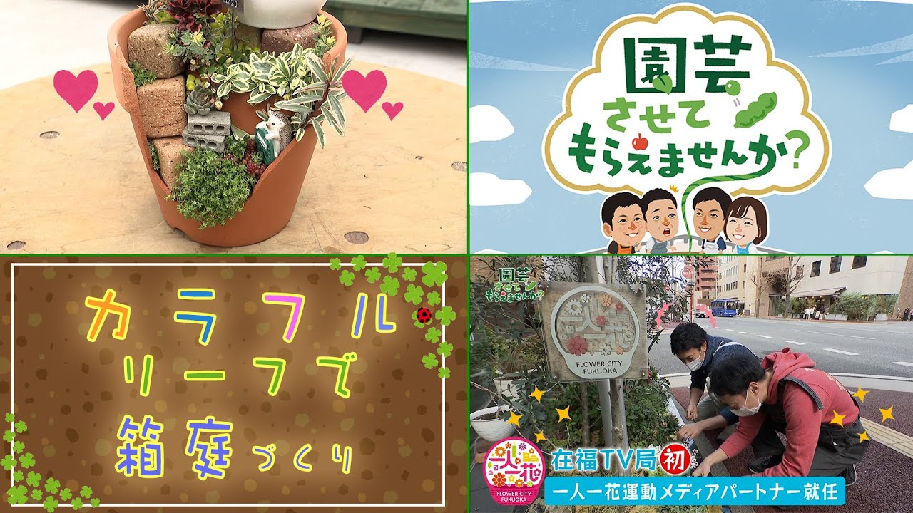 園芸チャンネル 園芸させてもらえませんか 34 余った植木鉢を再利用 カラフルリーフで可愛い箱庭づくり 21年1月30日oa Youtube 園芸チャンネル 園芸させてもらえませんか 34 余った植木鉢を再利用 カラフルリーフで可愛い箱庭づくり 21年1月30日oa Youtube