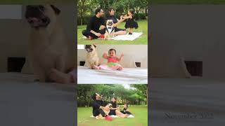 A heartwarming  maternity shoot with Pet📸🐶#dogsofinstagram #dogstagram #pets #sniffstories #pet