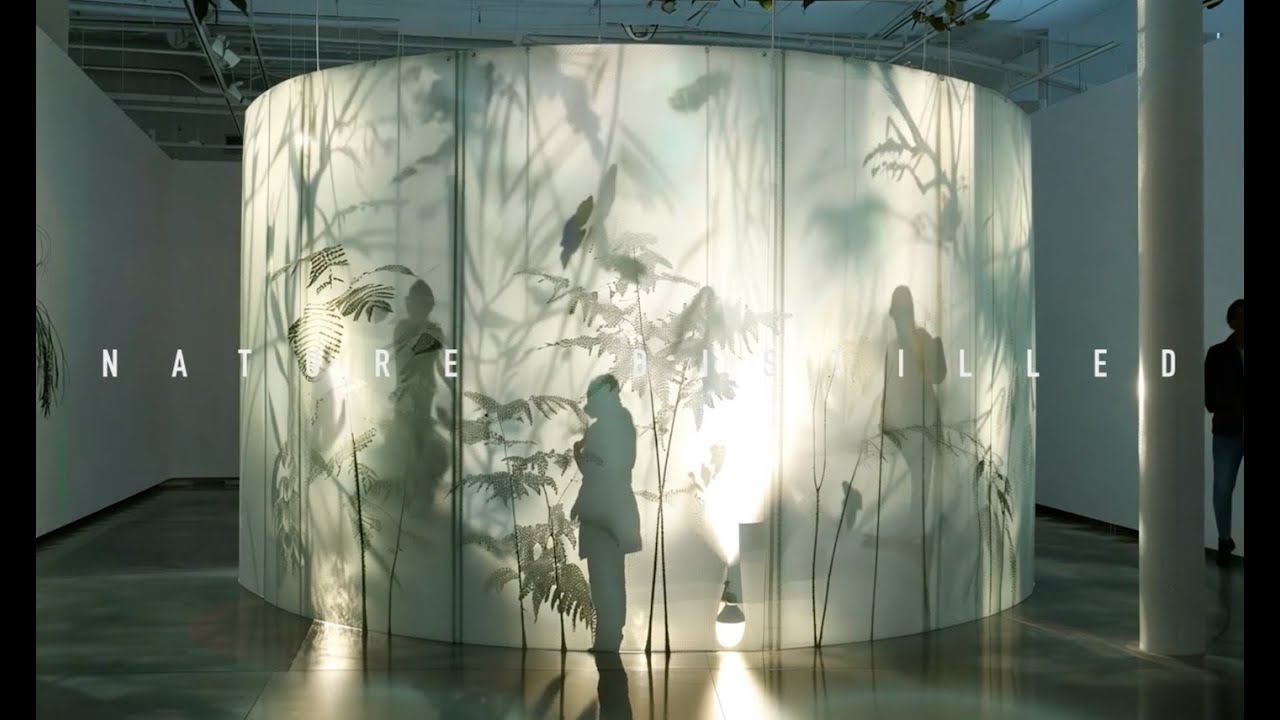 Nature Distilled AI Generated Conceptual Content