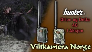 VILTKAMERA I AKSJON | Hunter Delta 4G og Hunter Orion 4G