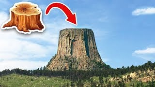 Пень Дьявола! Почему и откуда он взялся? Это стоит...