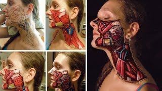 Realistic Anatomical Paintings Of Structures Under Our Skin By Danny Quirk