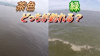 堤防に着くとそこは2色の海だった。