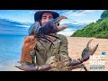 Catching HUGE MUDCRABS on a tiny Mangrove Island 🏝