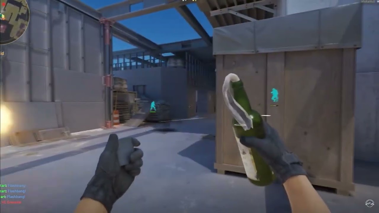 Top CS2 Aim Hacks And Wallhacks / Counter Strike 2 Cheats / Free Download 2024