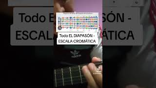 GUITARRA (FÁCIL) escala CROMÁTICA clase 1 mvarela07 escalas guitarraprincipiantes