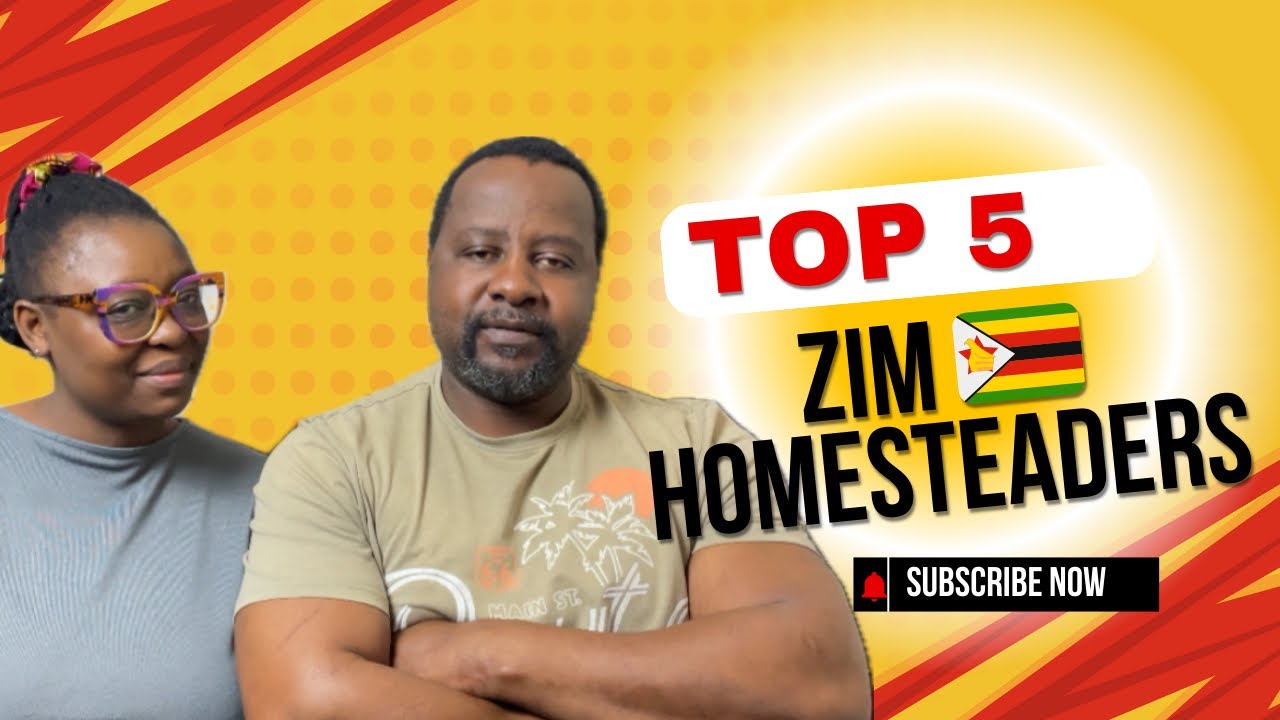 #35 TOP 5 ZIMBABWEAN HOMESTEADERS