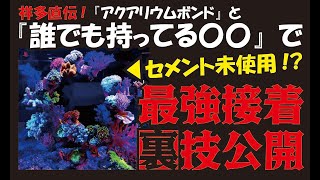 第59海　【見なきゃ絶対損！レイアウト裏技！】超簡単‼○○とボンドで超強力接着!?祥多が教えるレイアウト講座