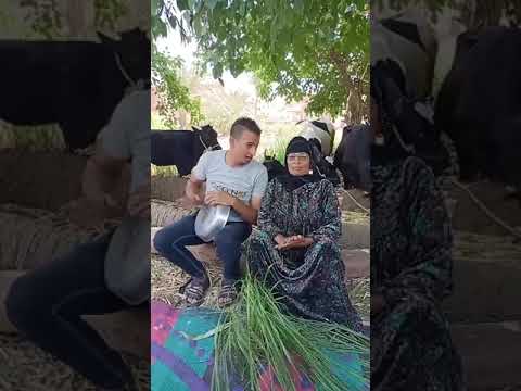 الحاجة نبيلة بتغني وابنها هيثم بيطبل ويقسم نسخة من فاطمة عيد والمصريين انبهروا بصوتها 