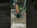 Precision Seedling Planter #Farming #Agriculture #Shorts
