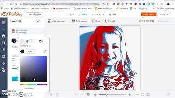 How to change a photo into a line drawing using PicMonkey