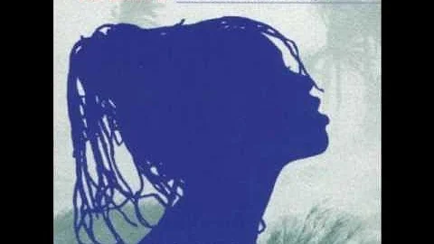 Bob Baldwin - Bahia Maria