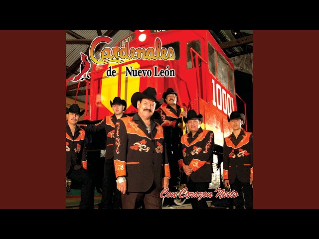 Cardenales De Nuevo Leon - Tu Eres