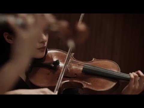 The Four Seasons Antonio Vivaldi「四季」ヴィヴァルディ by The Quartet Four Seasons 4K Music-Video