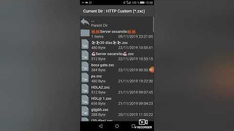 Servidor 30 días http custom personal argentina