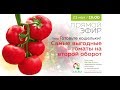 Самый выгодный томат на второй оборот | Прямой эфир | 23 мая 19:00