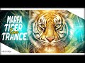 Hyderabadi marfa vs tiger trance  dj nikhil martyn