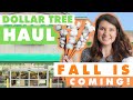 NEW Dollar Tree Haul 🍁FUN 2021 Fall & Back to School Finds! + they've UPGRADED their cotton stems 🙌