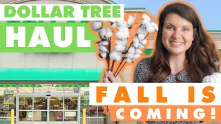 NEW Dollar Tree Haul ?FUN 2021 Fall & Back to School Finds + theyve UPGRADED their cotton stems ?