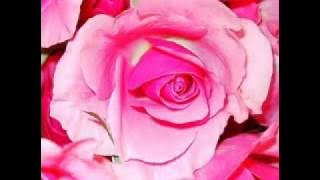 sedat ucan allahu allah