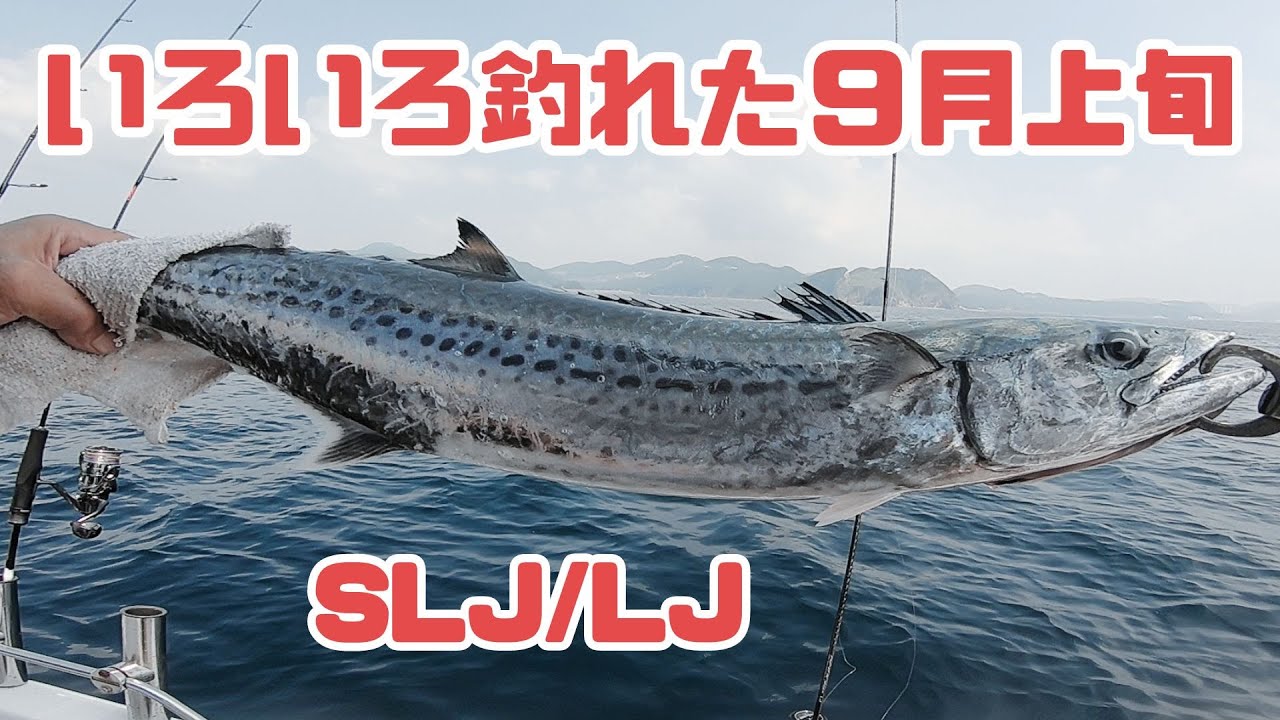夏の終わりにSLJ/LJでいろいろ釣れました  ＜長崎沖ライトジギング 24/9上旬＞