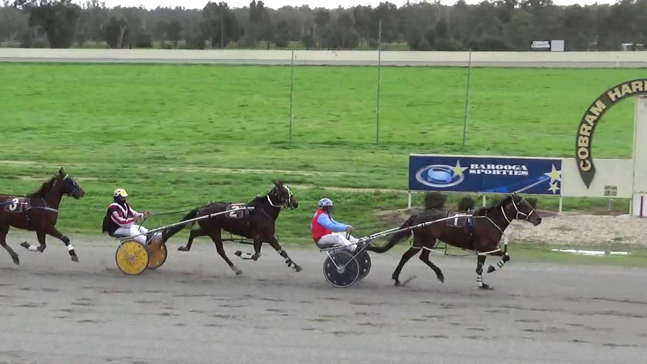 Cobram Harness Racing Club Trials 24th July 2016 YouTube
