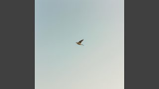 Download lagu Irisan Oreo Dicelup