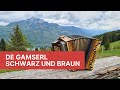 Die Gamserl schwarz und braun