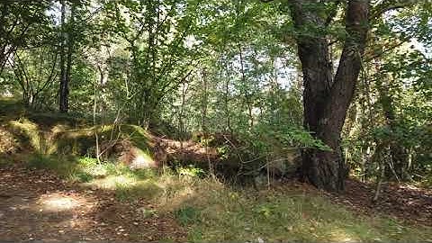 Do web developers need to learn Docker?