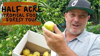 10 Year Old Tropical Food Forest Tour On A Half Acre In Hawai