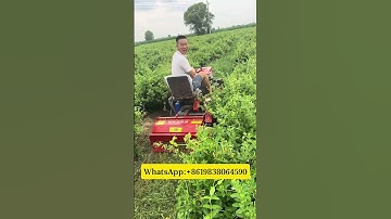 Straw returning machine. Weeds are easily solved. #RotaryTiller #Mower #MicroTiller #Tractor