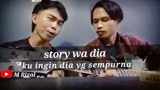 Story' wa Dia (ku ingin dia yang sempurna) Cover M Rizal