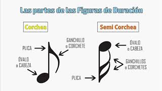 07 Partes de las Figuras Musicales - Cómo leer las notas musicales