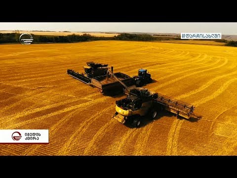 რა ცვლილებებს იწვევს სოციალური დისტანცია