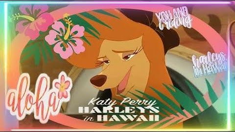 Harley’s In Hawaii 🌺Closed Animash Mep 11/11 Taken