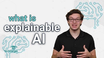 Explainable AI vs. Black Box AI (Opaque AI)