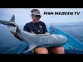 Kekuatan Reel Daiwa Saltiga Memang Luar Biasa | Full Episode  @BatantaFishingAdventure  | 2024