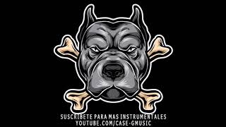 BASE DE RAP  - PERROS CALLEJEROS  - HIP HOP INSTRUMENTAL  - CASE G MUSIC