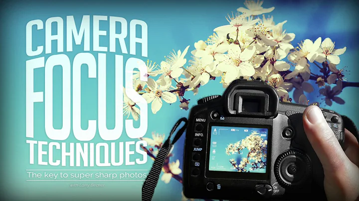 Camera Focus Techniques: The Key To Super Sharp Ph...