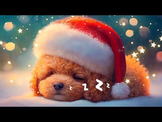 Sleep Music for Infants and Newborns 🍼Soothing Bedtime Lullaby Collection💤Magical Lullabies class=