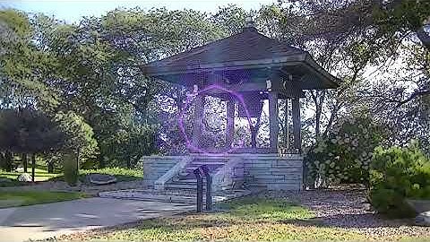 Symbiosis (4k version)