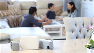 SMART Digital Rodent Monitoring | Flick Pest Control