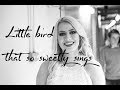Little bird that so sweetly sings - Amazing Gimnazija Kranj Symphony Orchestra