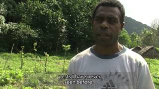 Vanuatu Coastal Adaptation Project (V-CAP) Video